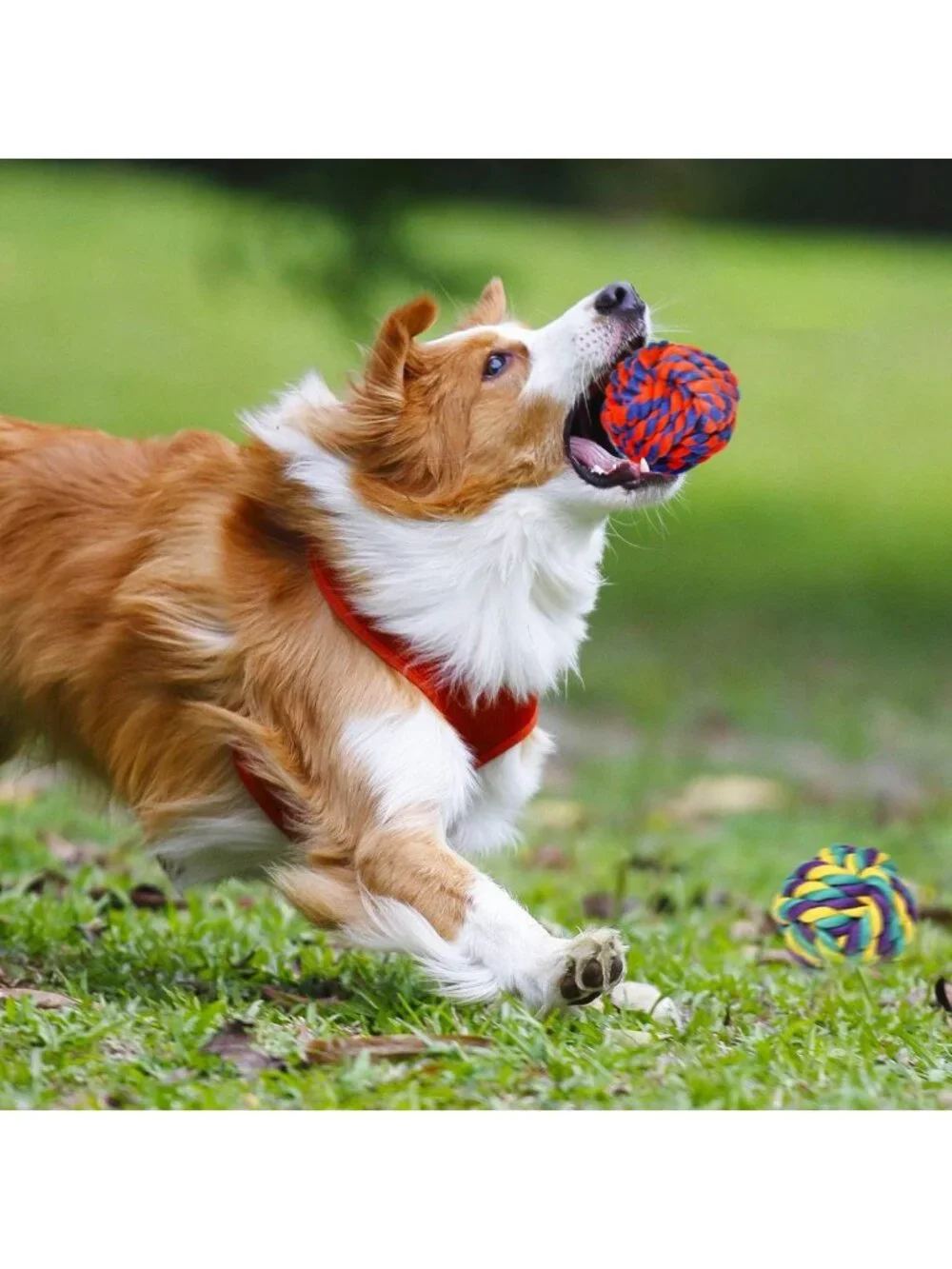 Large Tough Chew Toys for Aggressive Chewers | 9 Pack Heavy Duty Rope & Tug Toys